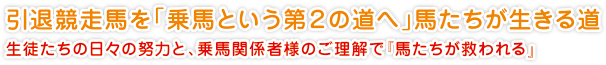 引退競走馬を「乗馬という第２の道へ」馬たちが生きる道
生徒たちの日々の努力と、乗馬関係者様のご理解で『馬たちが救われる』