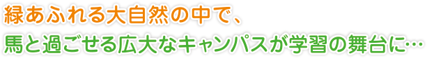 緑あふれる大自然の中で、
馬と過ごせる広大なキャンパスが学習の舞台に…