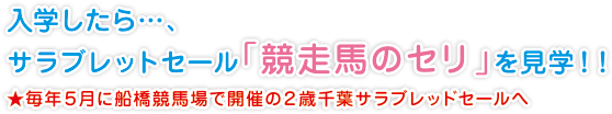 入学したら…、
サラブレットセール「競走馬のセリ」を見学！！
★毎年５月に船橋競馬場で開催の２歳千葉サラブレッドセールへ