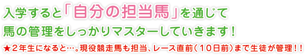 入学すると「自分の担当馬」を通じて
馬の管理をしっかりマスターしていきます！
★２年生になると…。現役競走馬も担当、レース直前（１０日前）まで生徒が管理！！