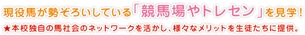 現役馬が勢ぞろいしている「競馬場やトレセン」を見学！
★本校独自の馬社会のネットワークを活かし、様々なメリットを生徒たちに提供。