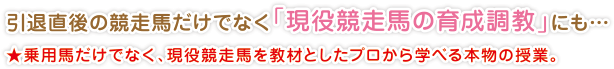 引退直後の競走馬だけでなく「現役競走馬の育成調教」にも…
★乗用馬だけでなく、現役競走馬を教材としたプロから学べる本物の授業。