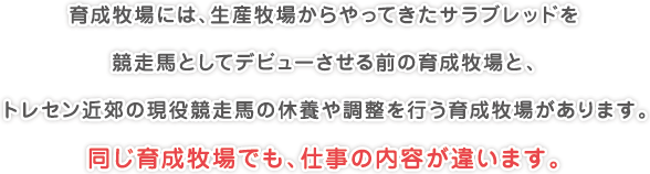 育成牧場には、生産牧場からやってきたサラブレッドを
競走馬としてデビューさせる前の育成牧場と、
トレセン近郊の現役競走馬の休養や調整を行う育成牧場があります。
同じ育成牧場でも、仕事の内容が違います。