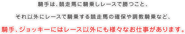 騎手は、競走馬に騎乗しレースで勝つこと、
それ以外にレースで騎乗する競走馬の確保や調教騎乗など、
騎手、ジョッキーにはレース以外にも様々なお仕事があります。