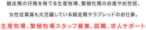 競走馬の仔馬を育てる生産牧場、繁殖牝馬のお産やお世話、
女性従業員も大活躍している競走馬サラブレッドのお仕事。
生産牧場、繁殖牧場スタッフ募集、就職、求人サポート