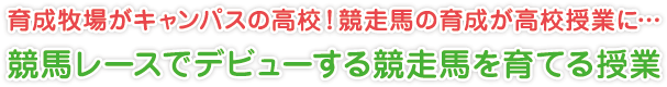 育成牧場がキャンパスの高校！競走馬の育成が高校授業に…
競馬レースでデビューする競走馬を育てる授業