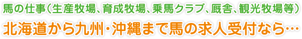 馬の仕事（生産牧場、育成牧場、乗馬クラブ、厩舎、観光牧場等）
北海道から九州・沖縄まで馬の求人受付なら…